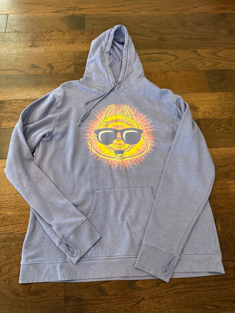 Disney Lavender Hoodie with Yellow & Black Graphic